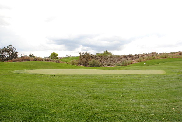 DSC 0386