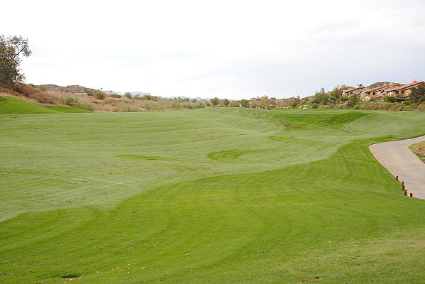 DSC 0406