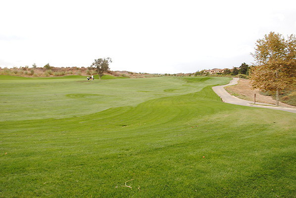 DSC 0405