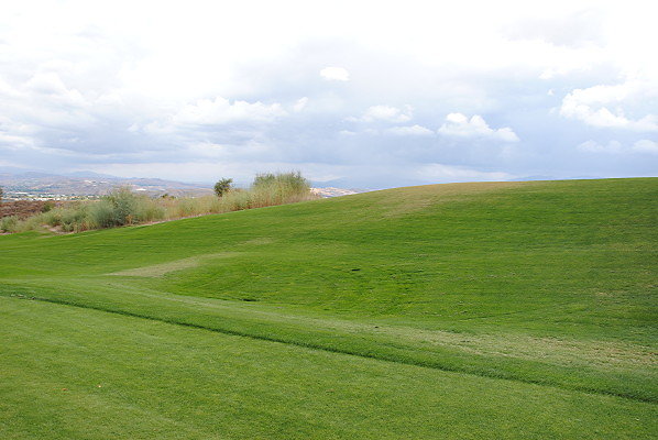 DSC 0352