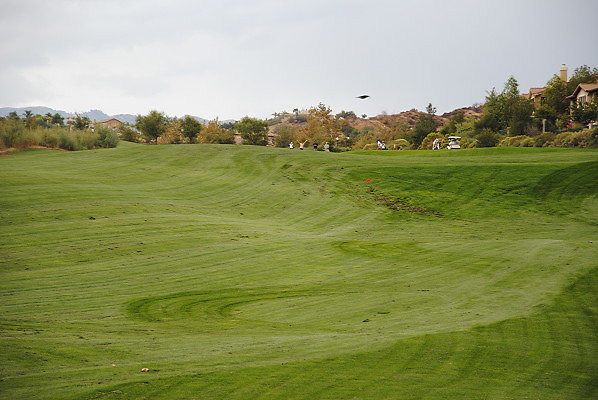 DSC 0407
