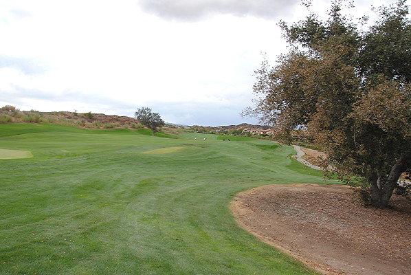 DSC 0387