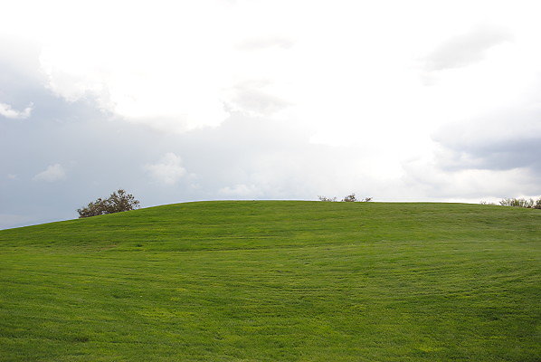 DSC 0383