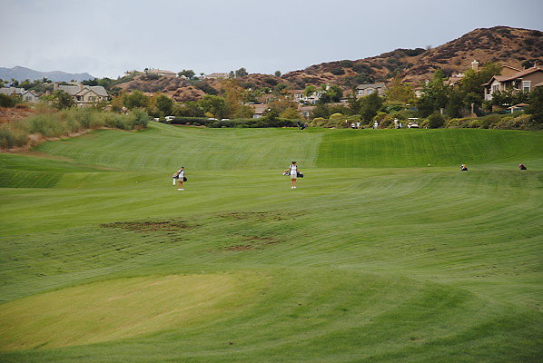 DSC 0402