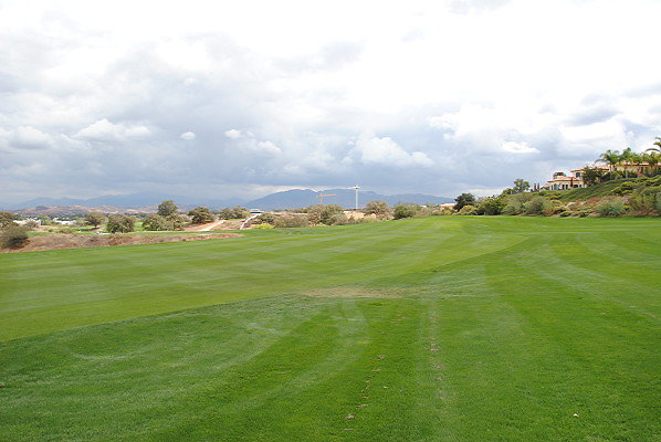 DSC 0283