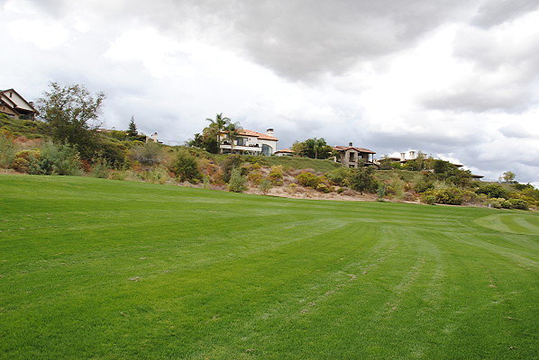 DSC 0286