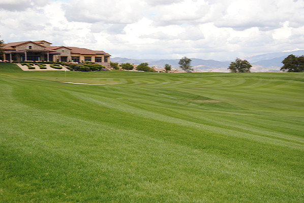 DSC 0259
