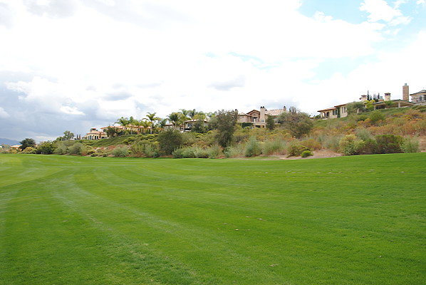 DSC 0284