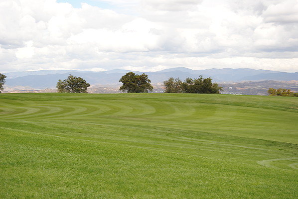 DSC 0264