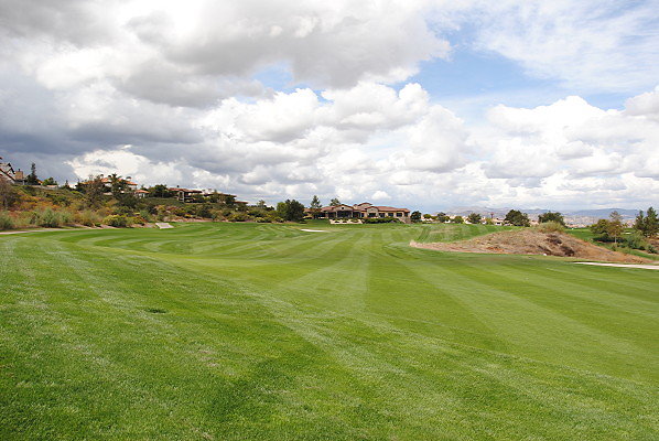 DSC 0248