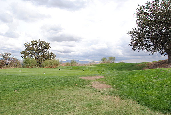 DSC 0209