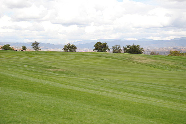 DSC 0260