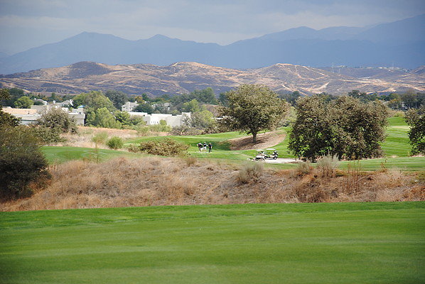 DSC 0282