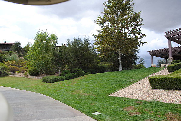 DSC 0290