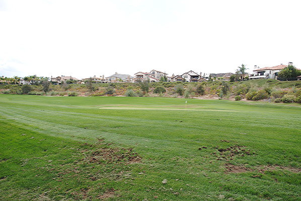 DSC 0185