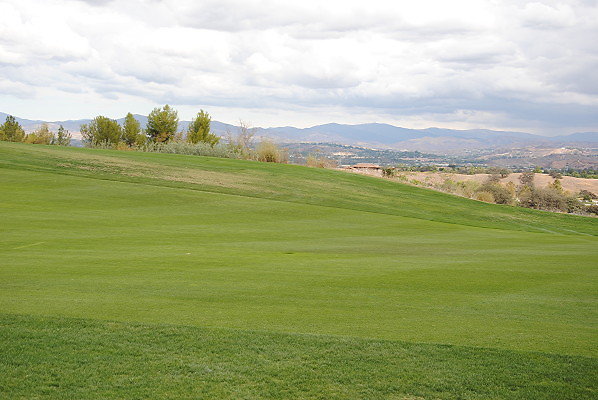 DSC 0280