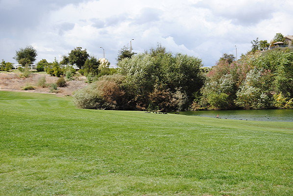 DSC 0555