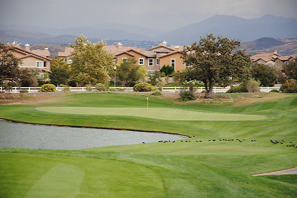 DSC 0485