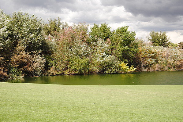 DSC 0549