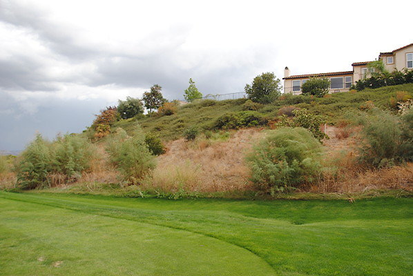DSC 0482