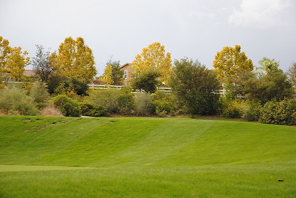 DSC 0474