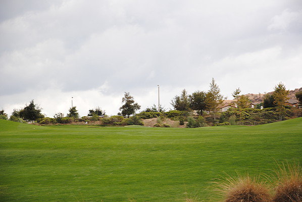 DSC 0504