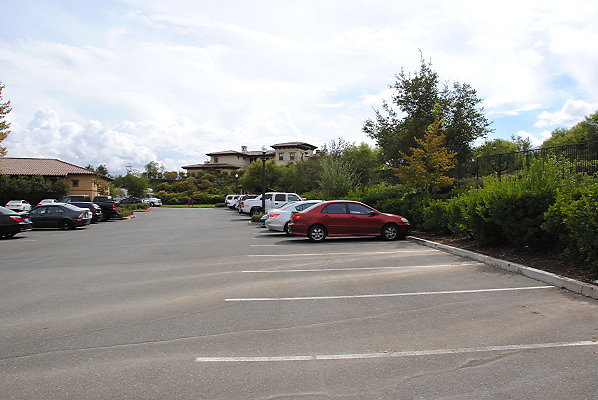 DSC 0002