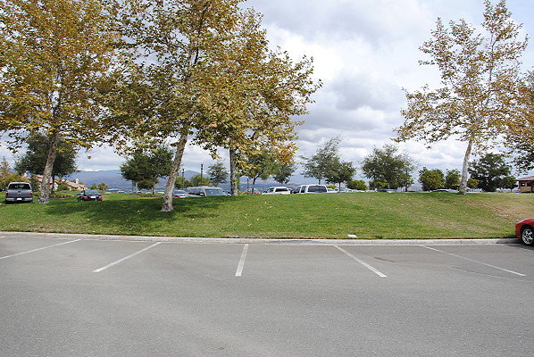 DSC 0006