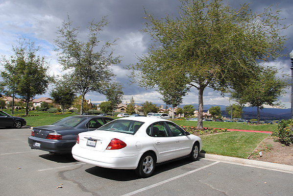 DSC 0564