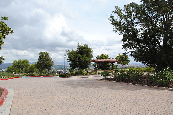 DSC 0021