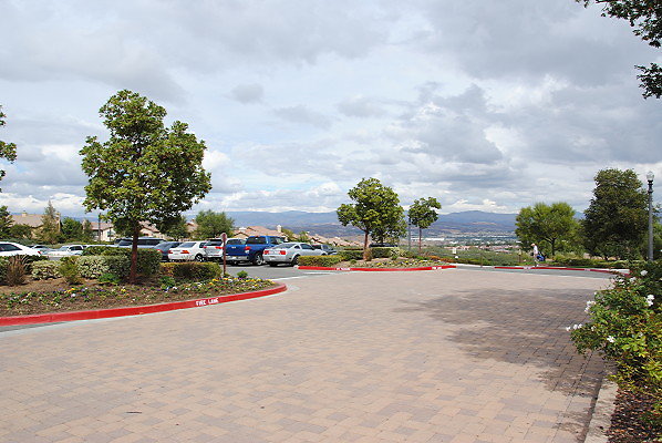 DSC 0026