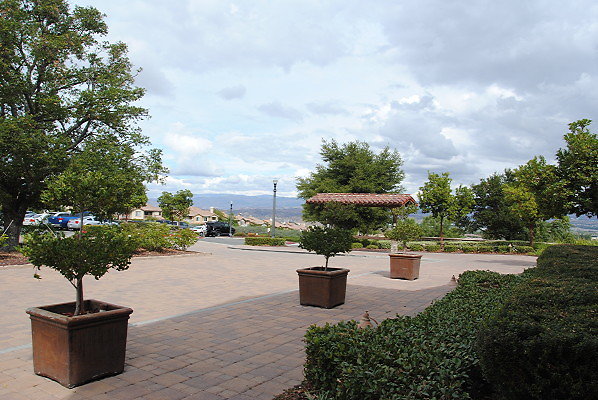 DSC 0036