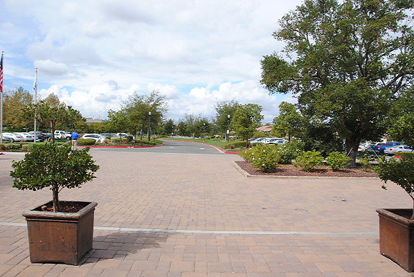 DSC 0035