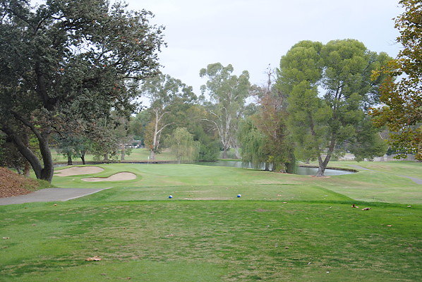 DSC 0003