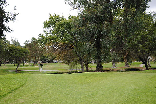 DSC 0790