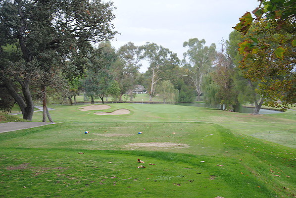 DSC 0007
