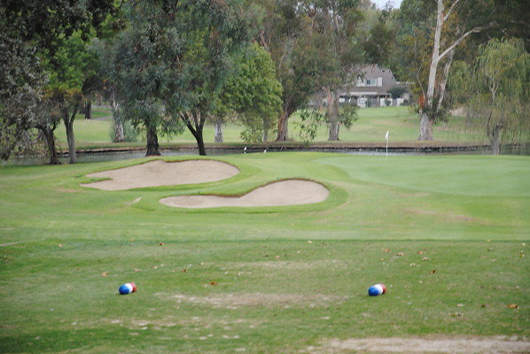 DSC 0008