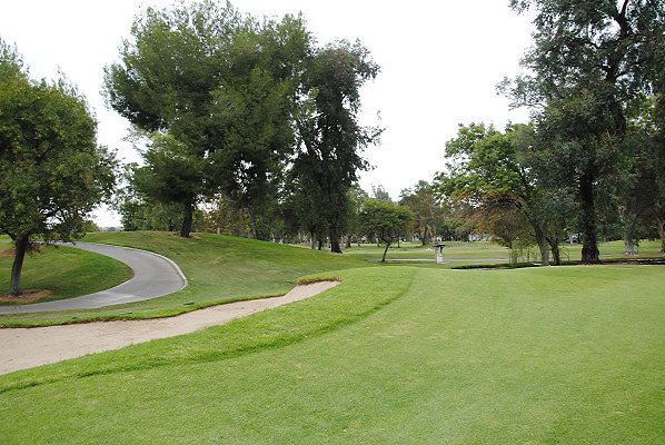 DSC 0787