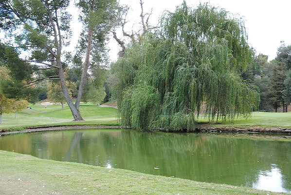 DSC 0760