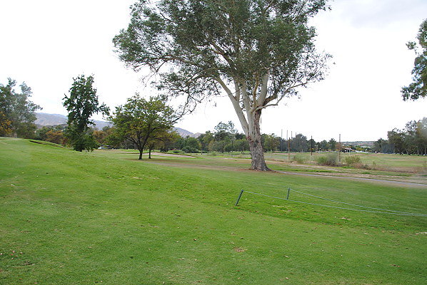 DSC 0718