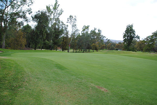 DSC 0720