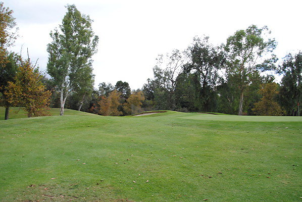 DSC 0713