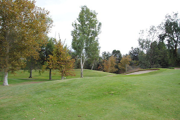 DSC 0716