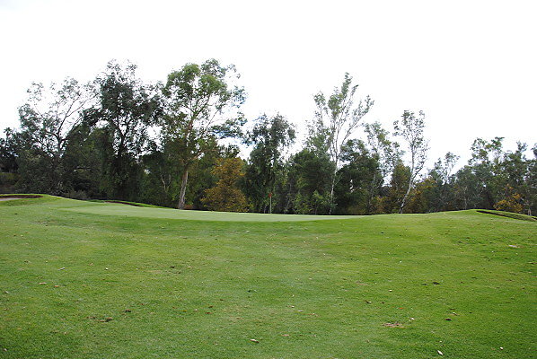 DSC 0714