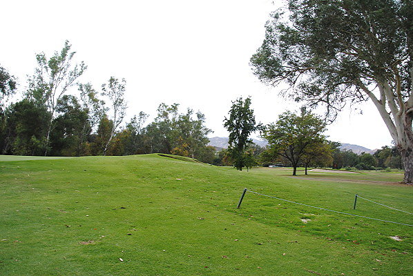DSC 0715