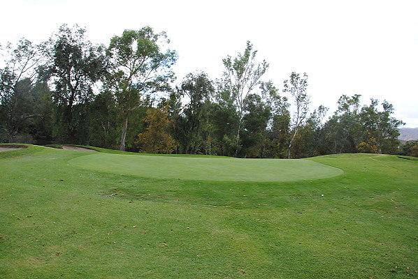 DSC 0717