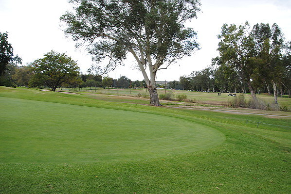 DSC 0721