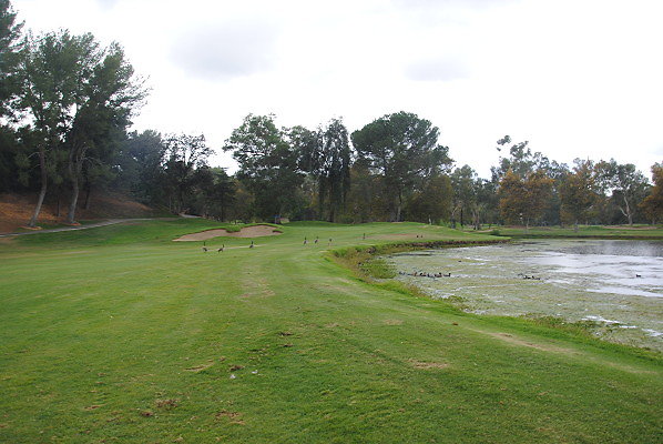 DSC 0045