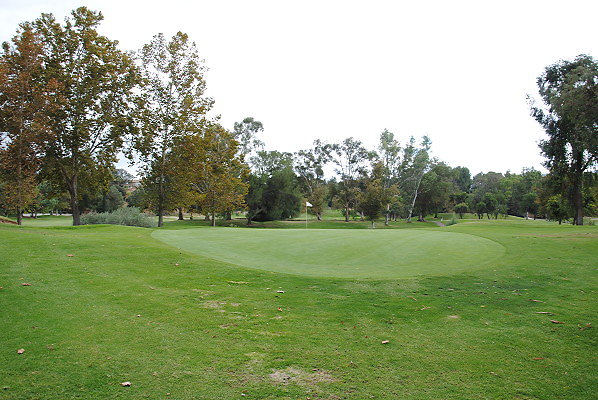 DSC 0737