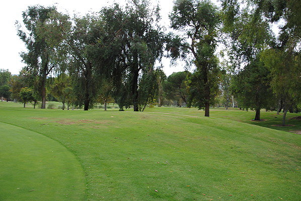 DSC 0741